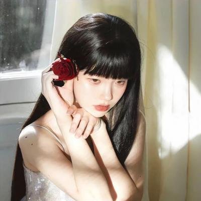 王良军长